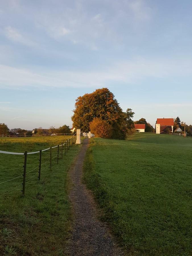 Ferienwohnung Dressler Wolfegg Luaran gambar